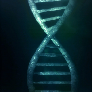 DNA Strang
Genetik